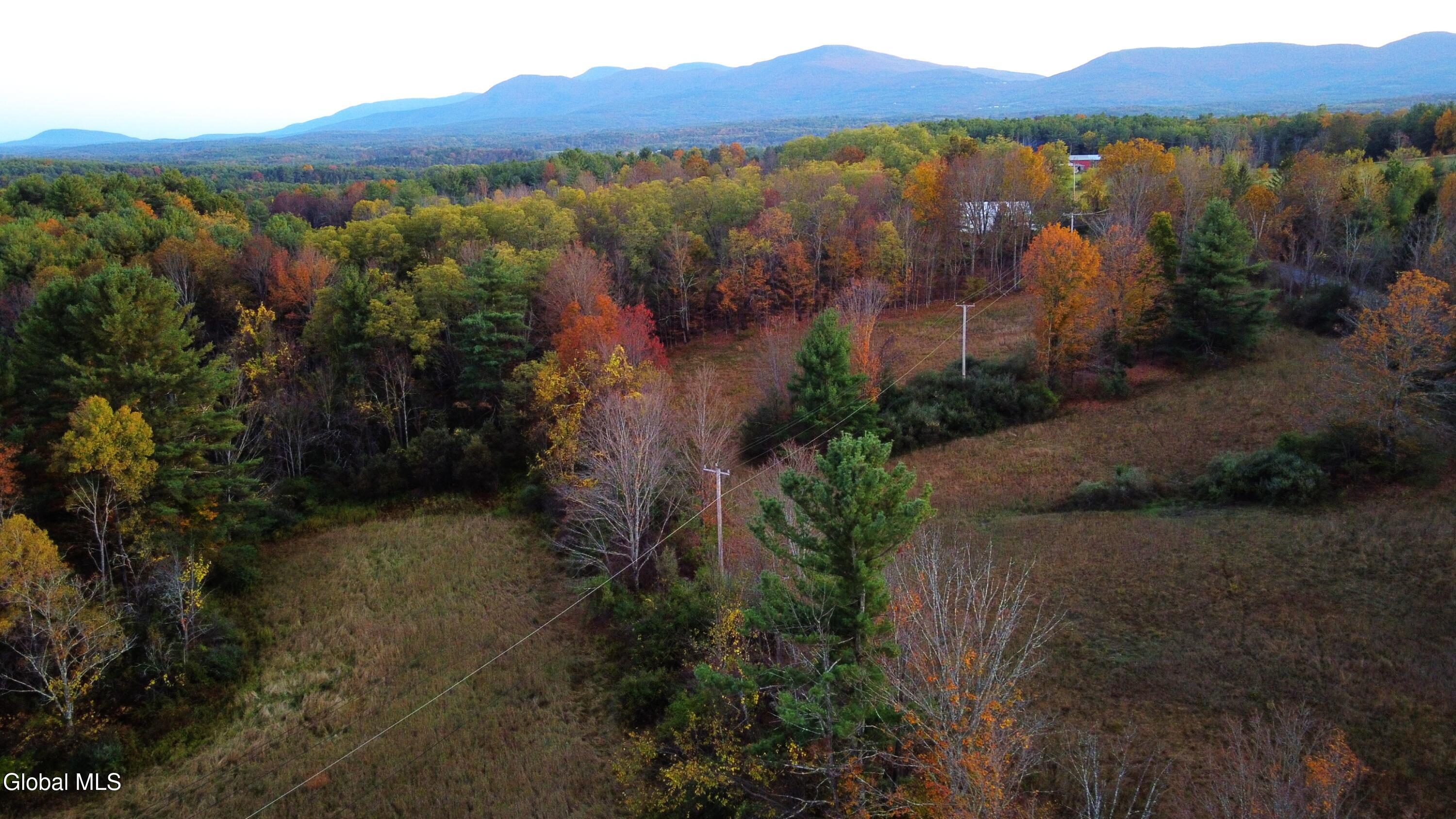 L2 Saybrook Hill Road Medusa, NY 12120 - Photo 14 of 22 14