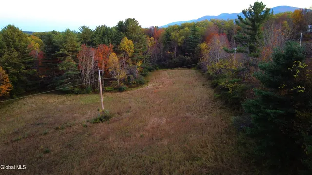 $660,000 | L2 Saybrook Hill Road, Medusa, NY 12120