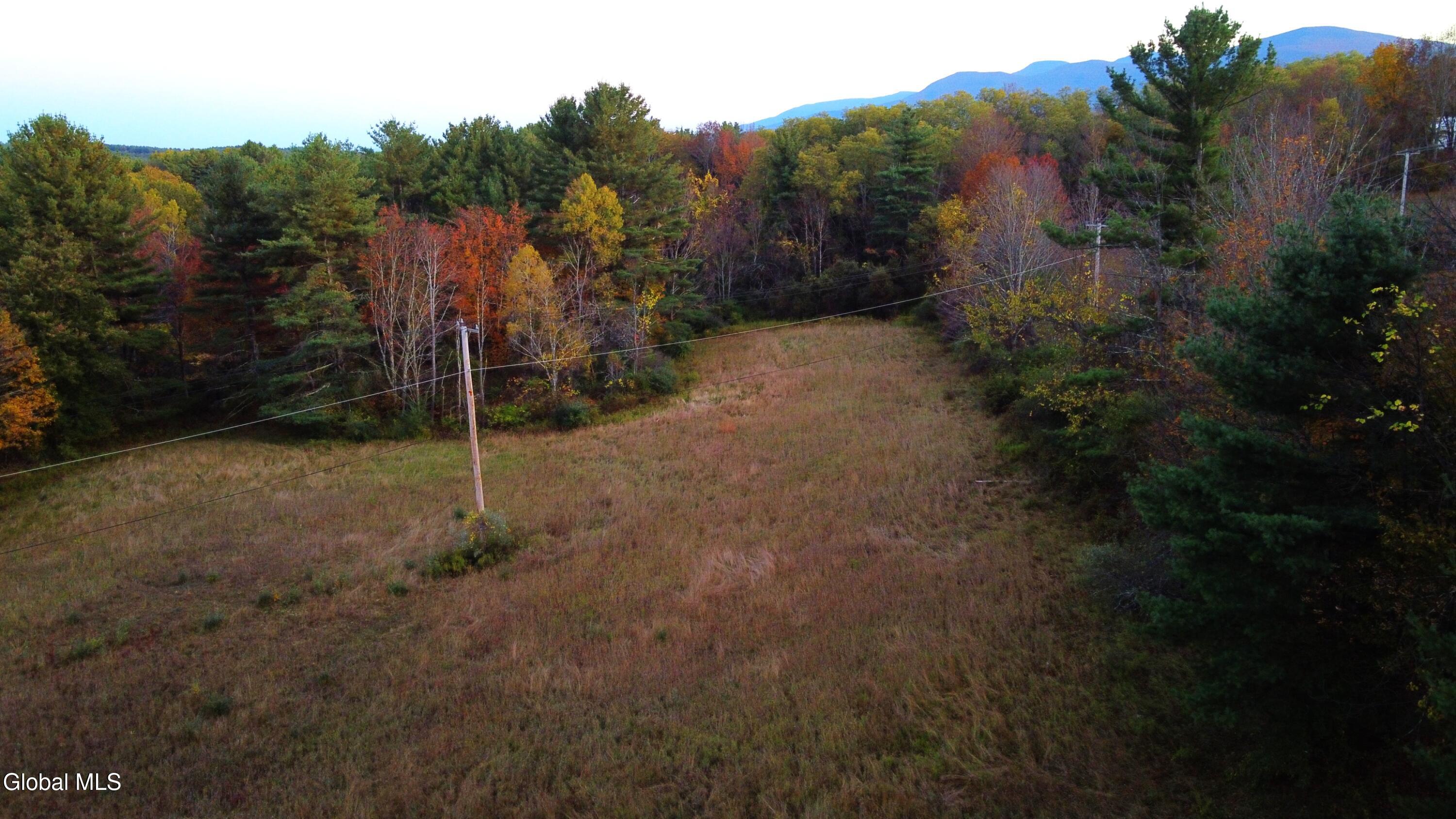 L2 Saybrook Hill Road Medusa, NY 12120 - Photo 15 of 22 15