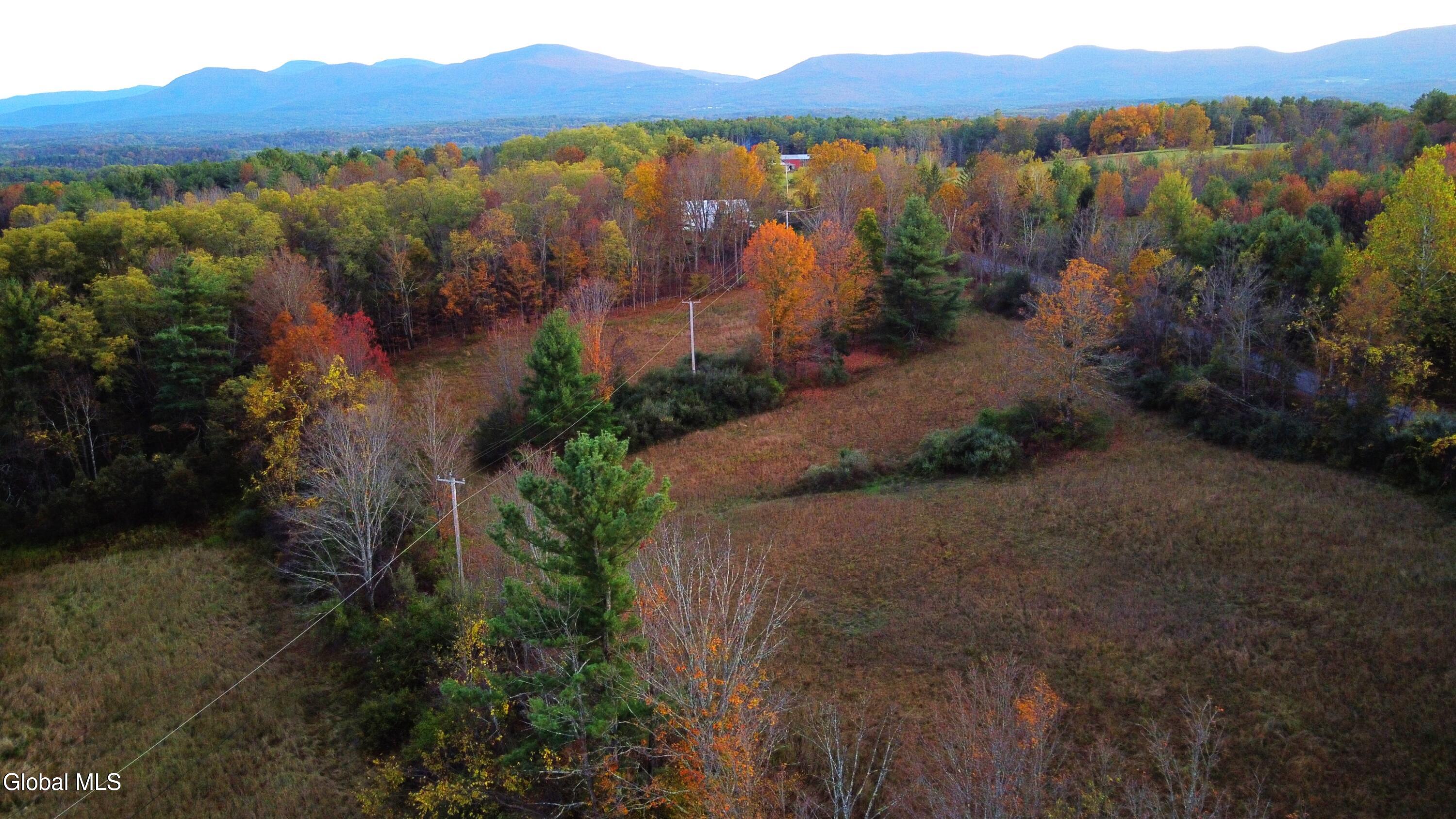 L2 Saybrook Hill Road Medusa, NY 12120 - Photo 16 of 22 16