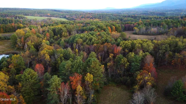 $660,000 | L2 Saybrook Hill Road, Medusa, NY 12120