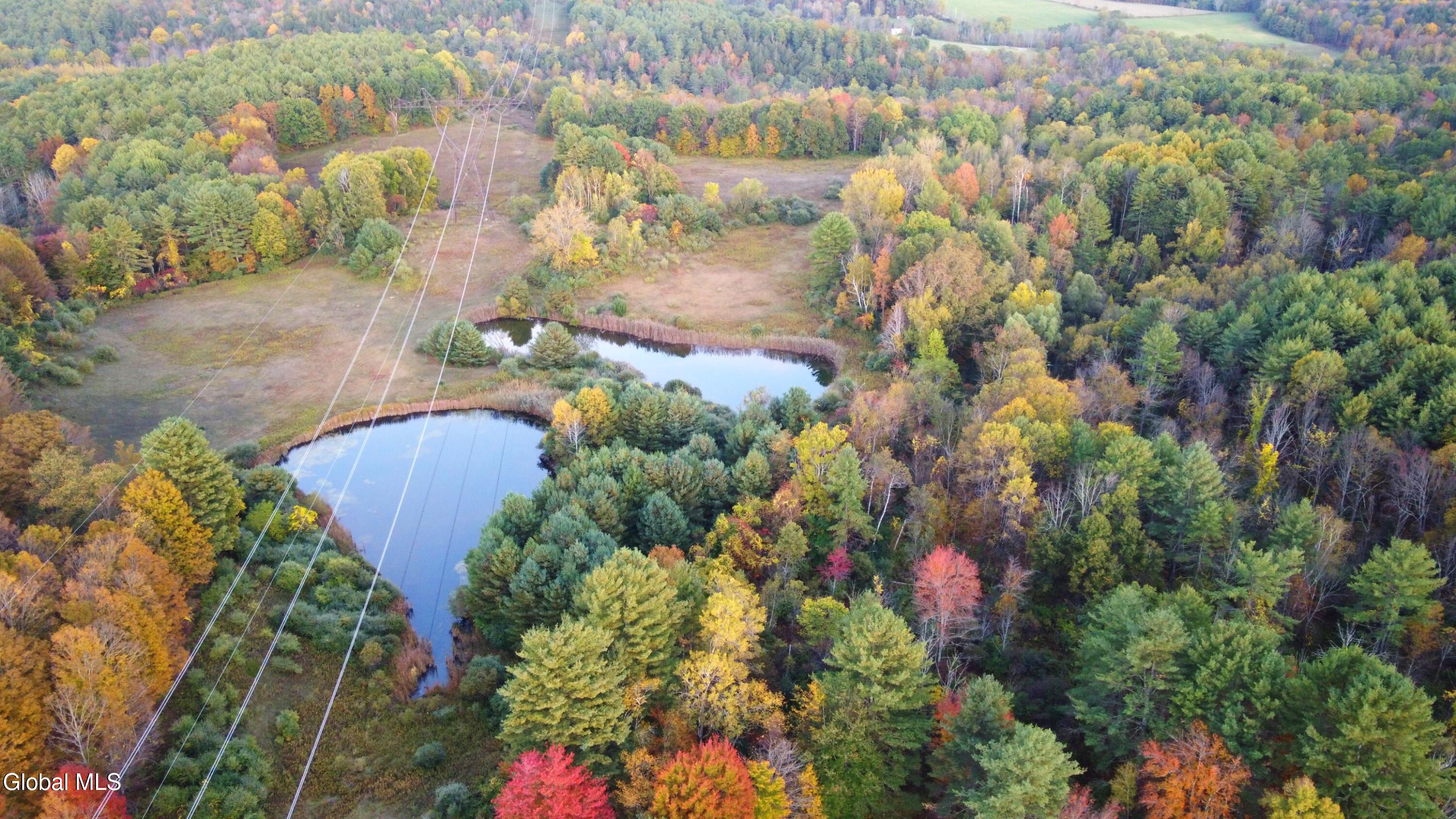 L2 Saybrook Hill Road Medusa, NY 12120 - Photo 19 of 22 19