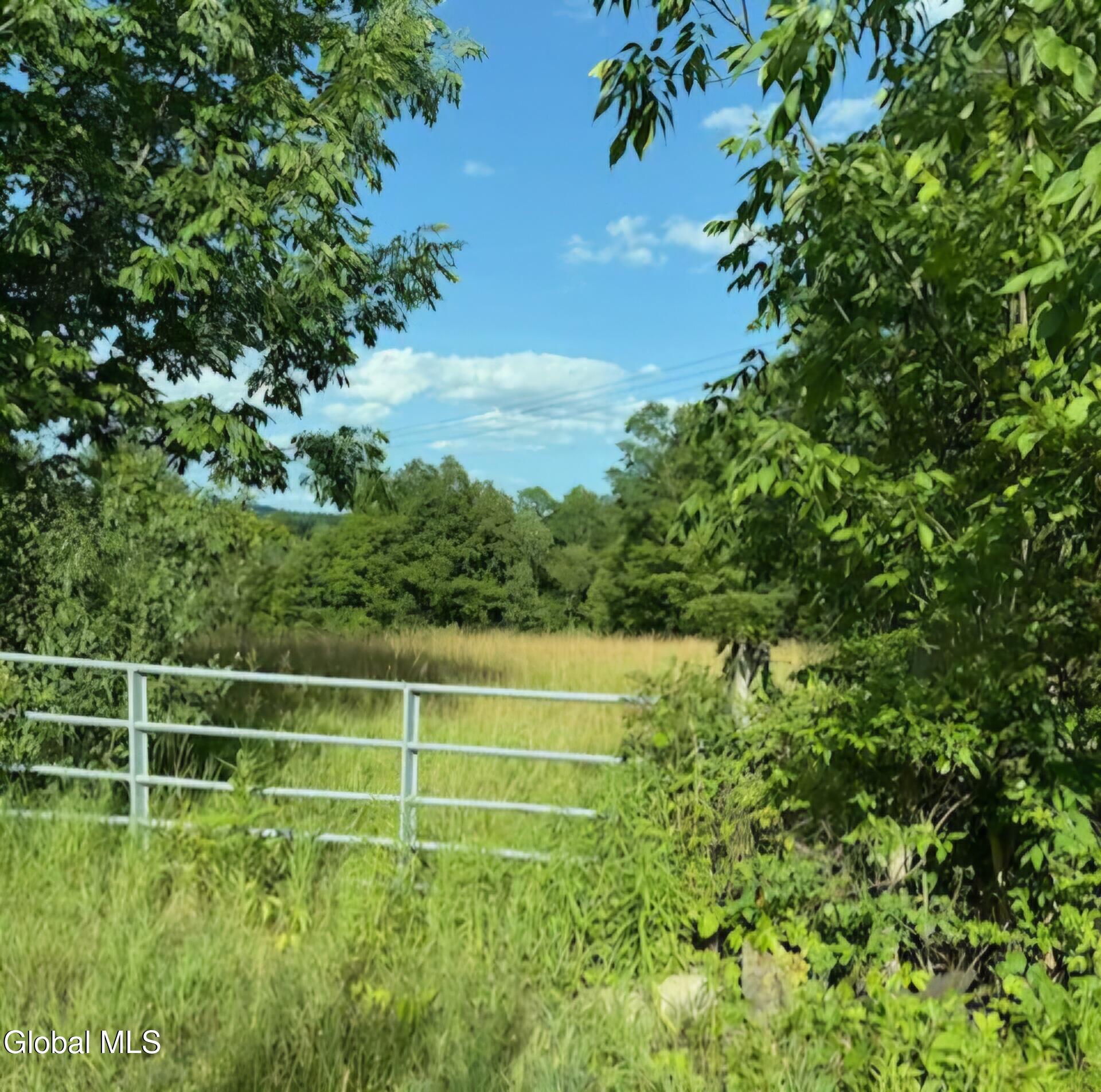 L2 Saybrook Hill Road Medusa, NY 12120 - Photo 2 of 22 2