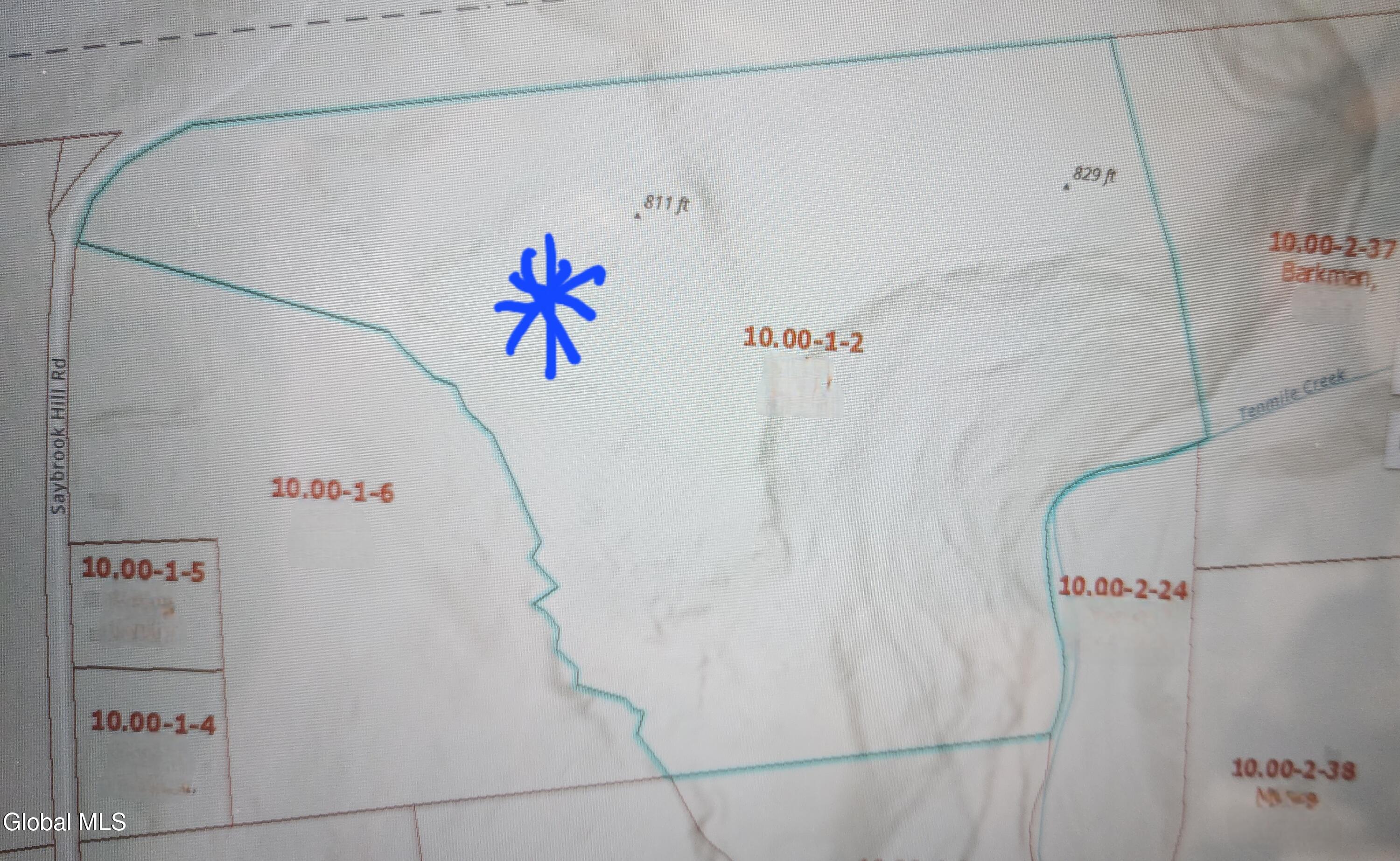 L2 Saybrook Hill Road Medusa, NY 12120 - Photo 3 of 22 3