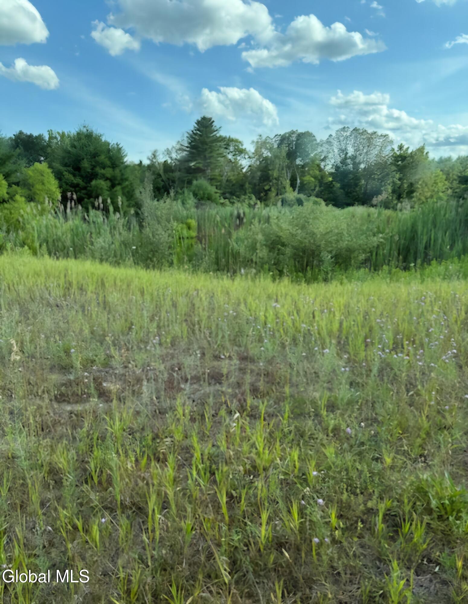 L2 Saybrook Hill Road Medusa, NY 12120 - Photo 4 of 22 4