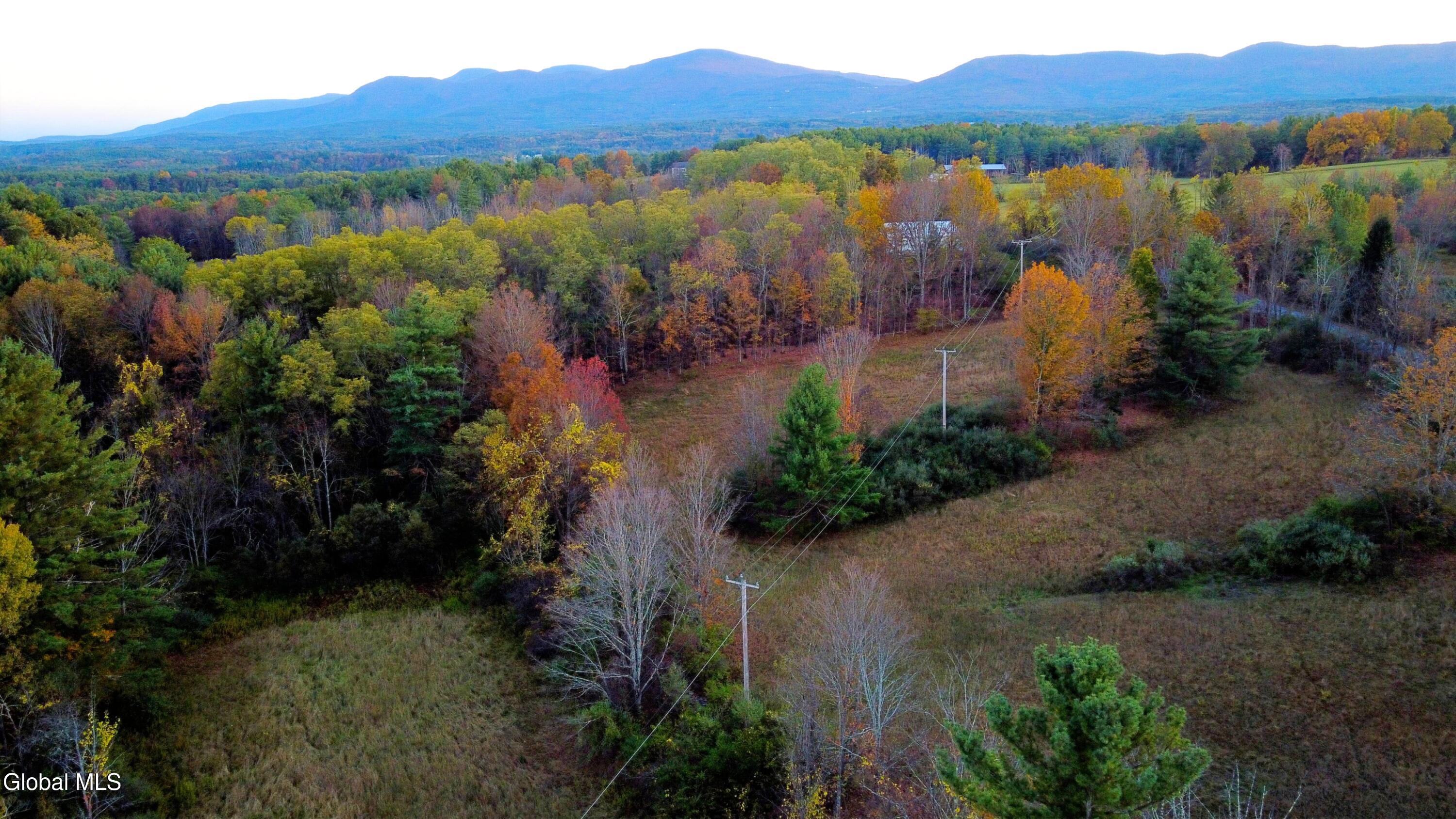 L2 Saybrook Hill Road Medusa, NY 12120 - Photo 5 of 22 5