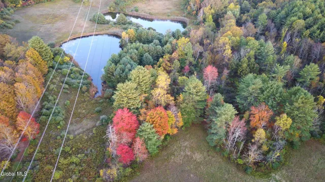 $660,000 | L2 Saybrook Hill Road, Medusa, NY 12120