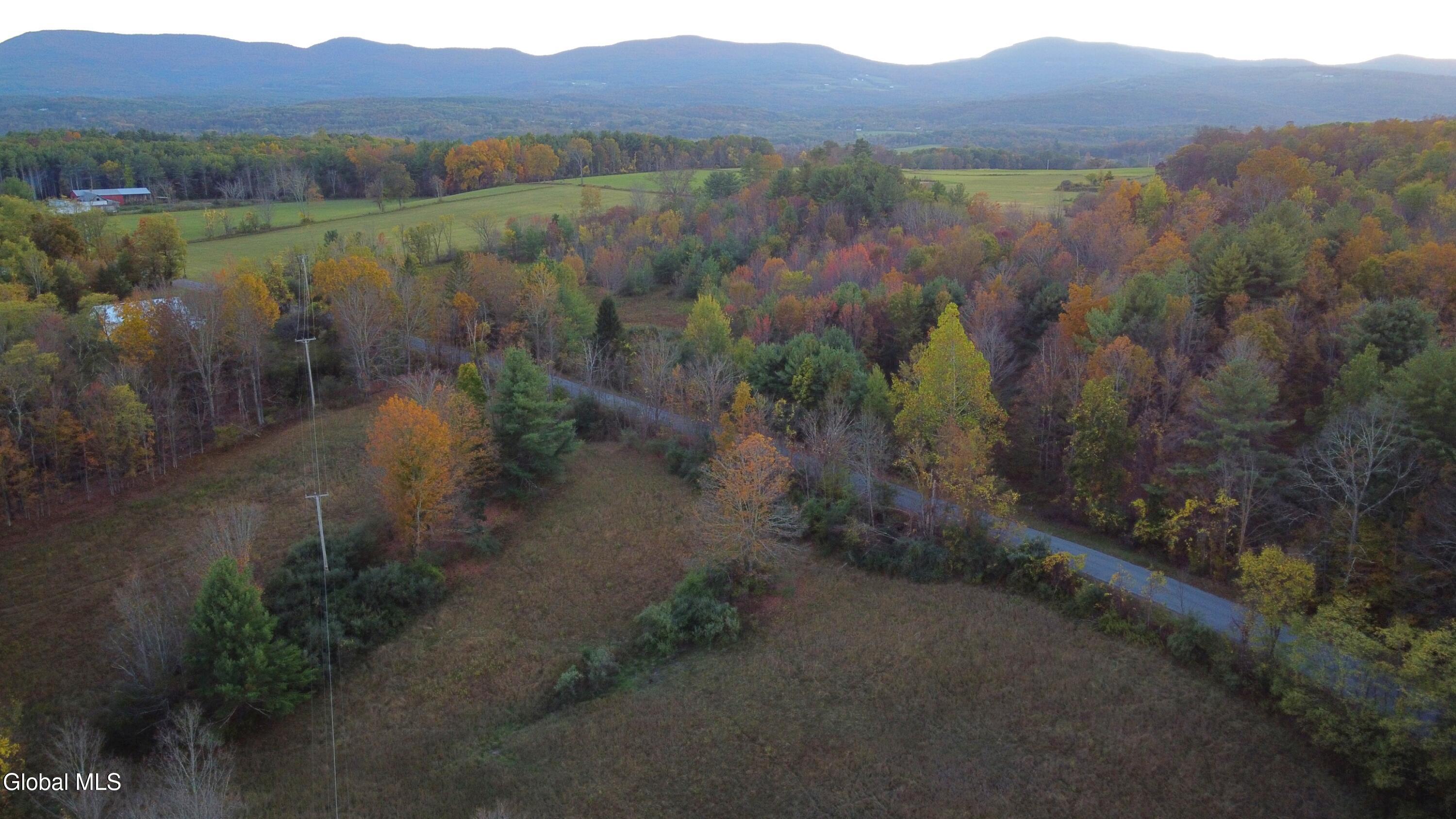 L2 Saybrook Hill Road Medusa, NY 12120 - Photo 8 of 22 8