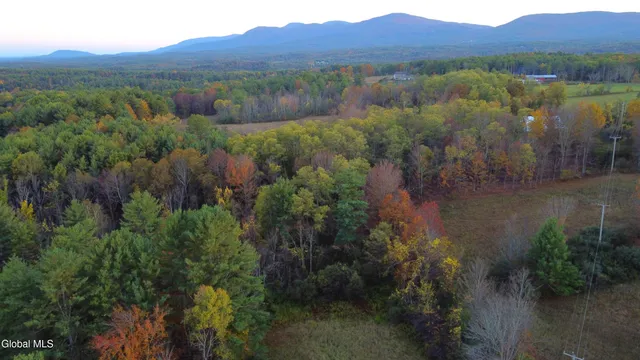 $660,000 | L2 Saybrook Hill Road, Medusa, NY 12120