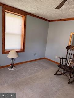7361 Chesapeake Road Baltimore, MD 21220 - Photo 3 of 21 a view of a room with gym equipment