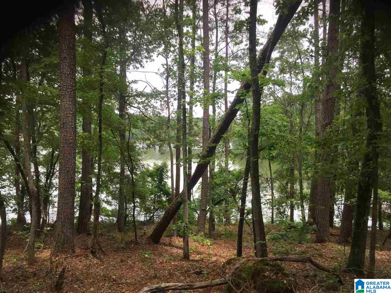 Black Acres Road, Unit 34 Odenville, AL 35120 - Photo 2 of 19