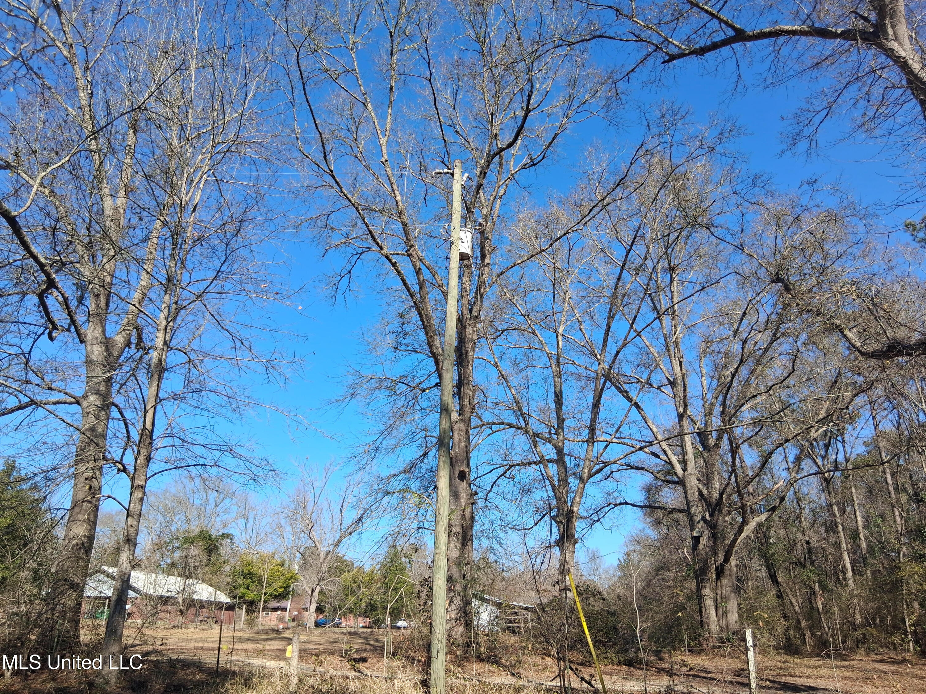 15208 Old River Road Vancleave, MS 39565 - Photo 18 of 24 Power Pole