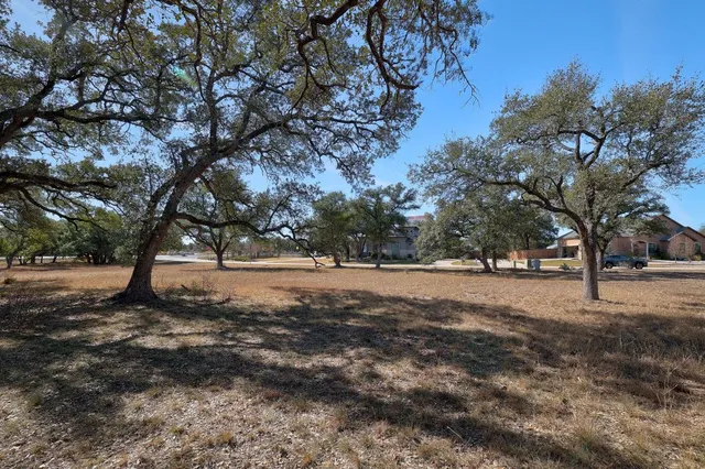 a view of dirt yard with a tree