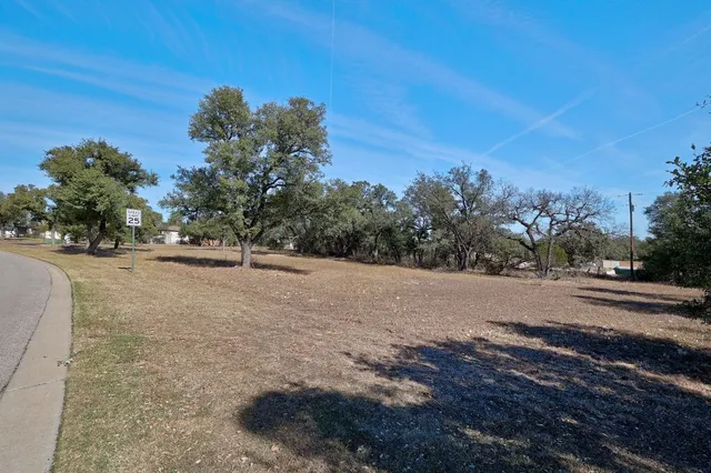a view of path and green space