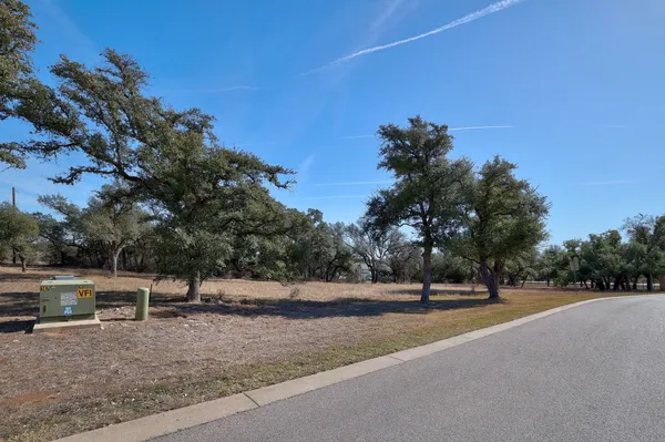 a view of a park with large trees