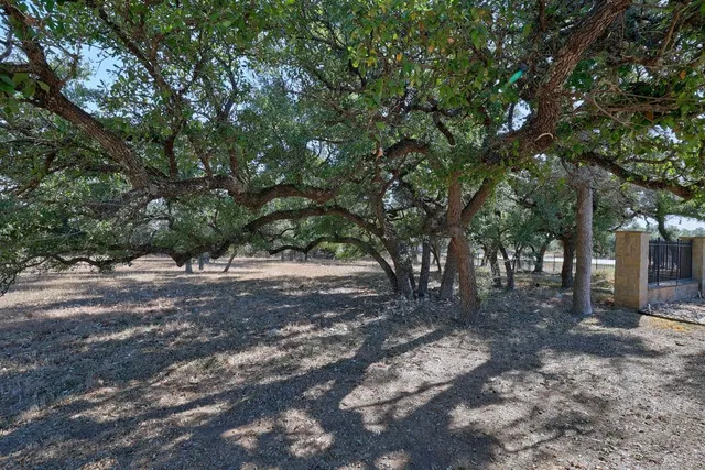 a view of a tree in the middle of a yard