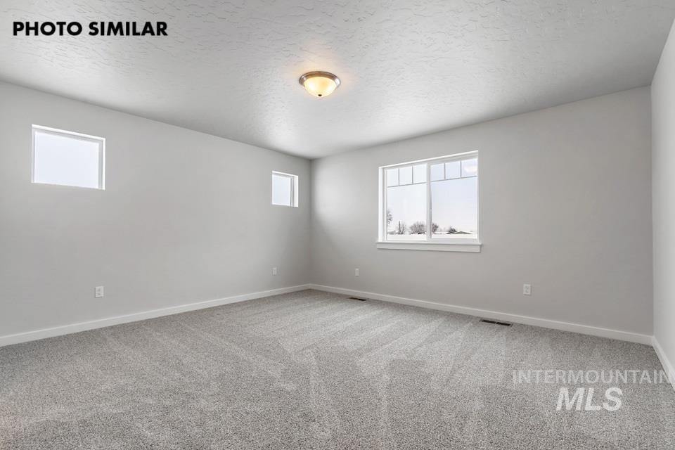 1644 Haystack Emmett, ID 83617 - Photo 15 of 33 Spacious room featuring light gray carpeting, three windows, and a ceiling-mounted light fixture