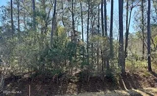 $80,000 | 3363 Portside Drive Southwest, Supply, NC 28462
