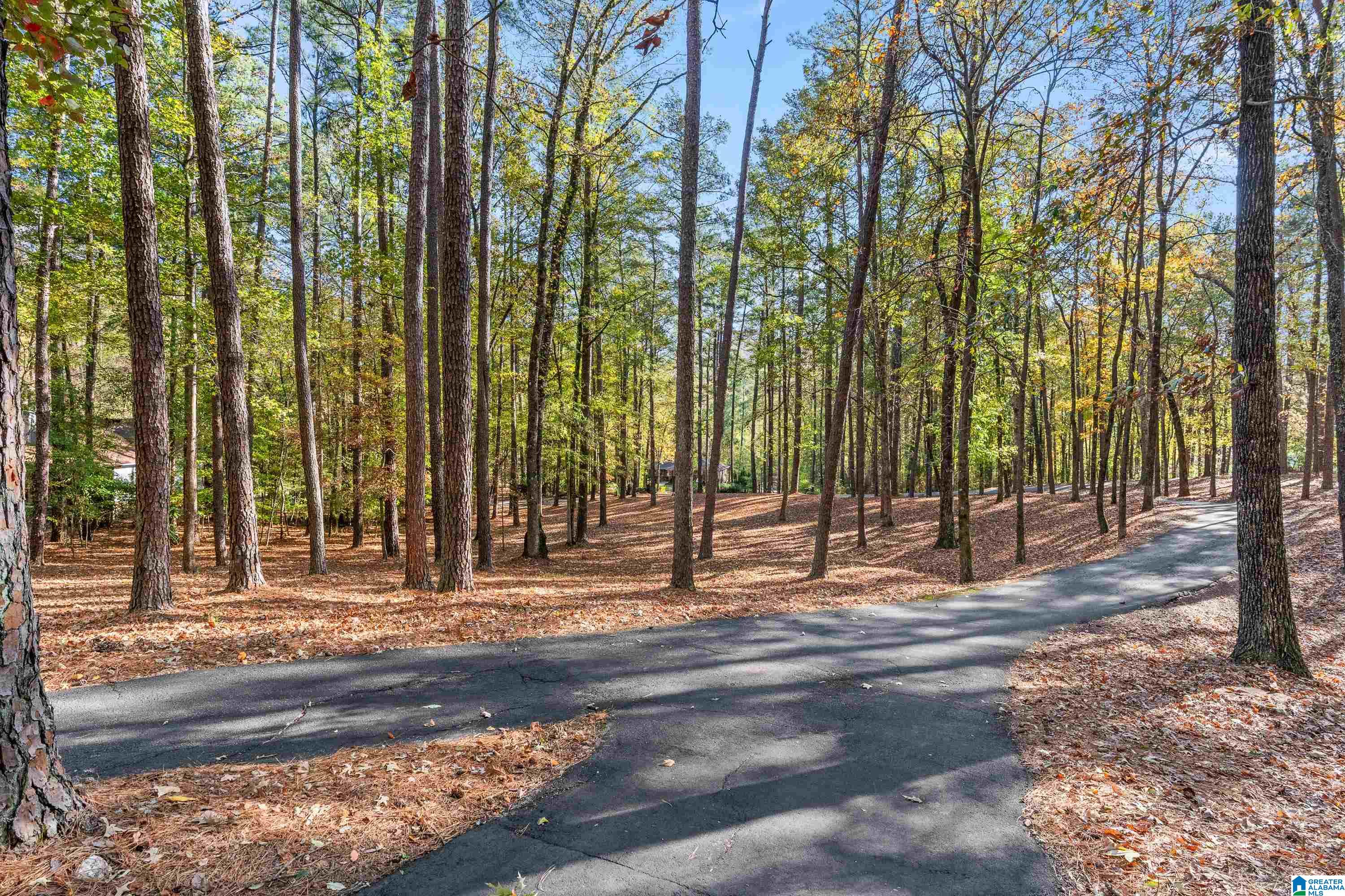 2500 Marcal Road Birmingham, AL 35244 - Photo 58 of 73