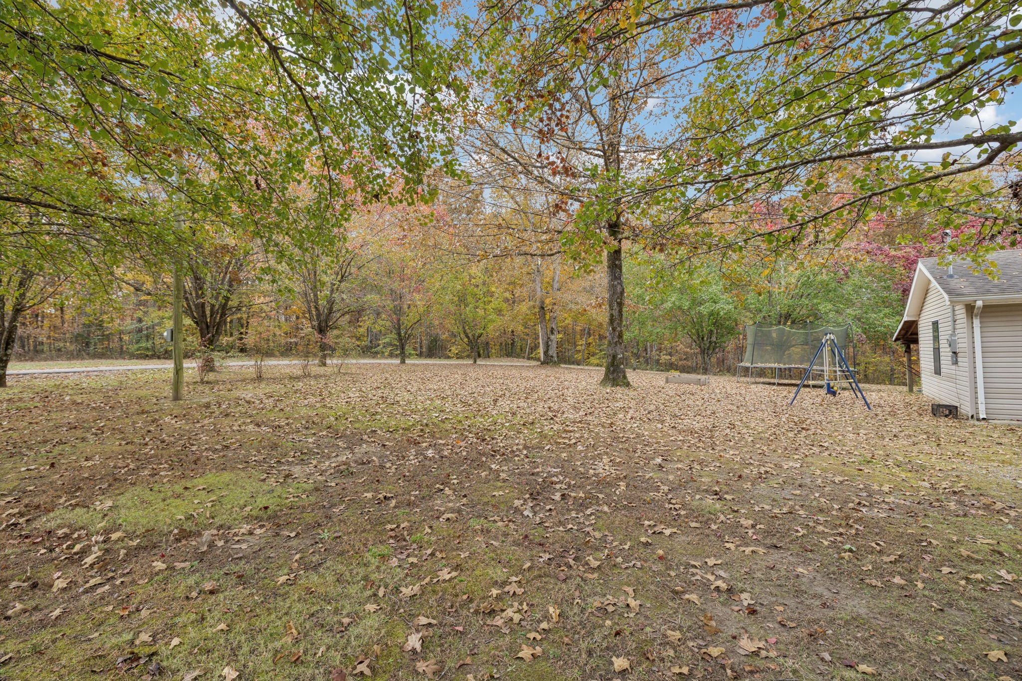 1904 Buffalo Road Hohenwald, TN 38462 - Photo 15 of 51 a view of a yard with a tree