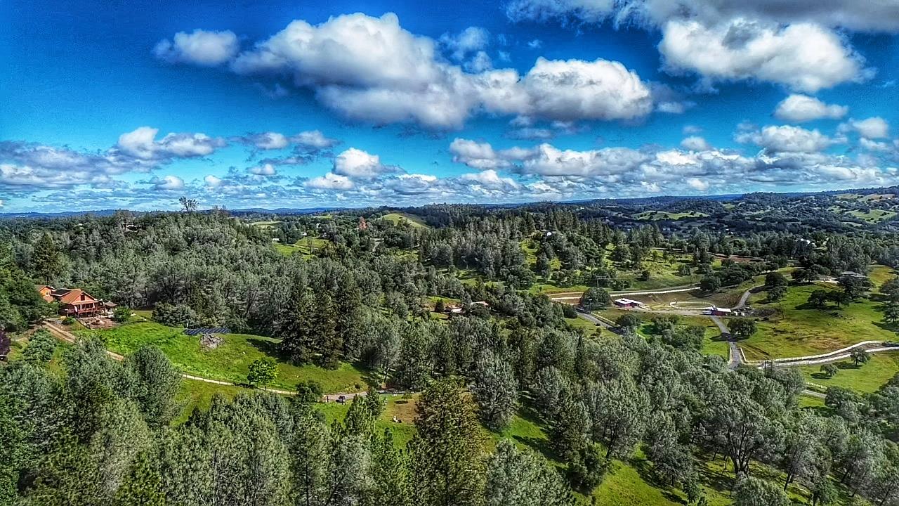 a view of a big yard with swimming pool