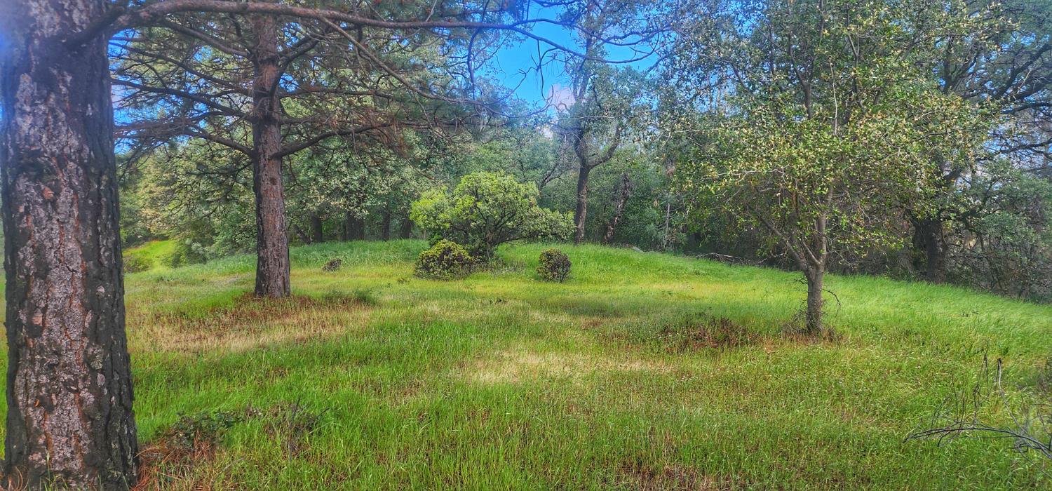0 Cherry Acres Road Cool, CA 95614 - Photo 2 of 14 a big yard with lots of green space and trees