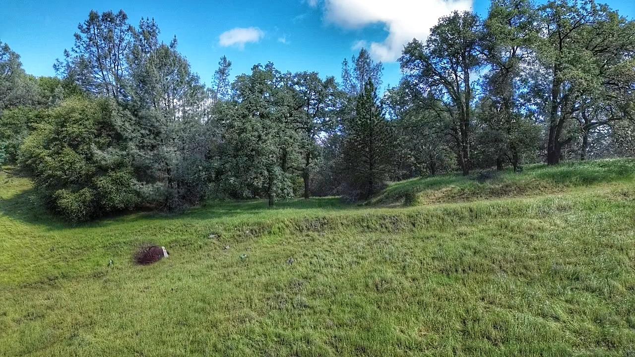 0 Cherry Acres Road Cool, CA 95614 - Photo 3 of 14 a big yard with lots of green space and deers