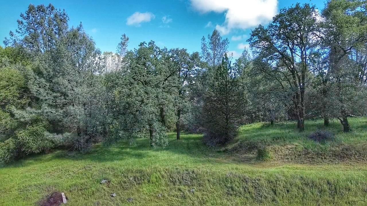 0 Cherry Acres Road Cool, CA 95614 - Photo 5 of 14 a view of a green field with lots of bushes