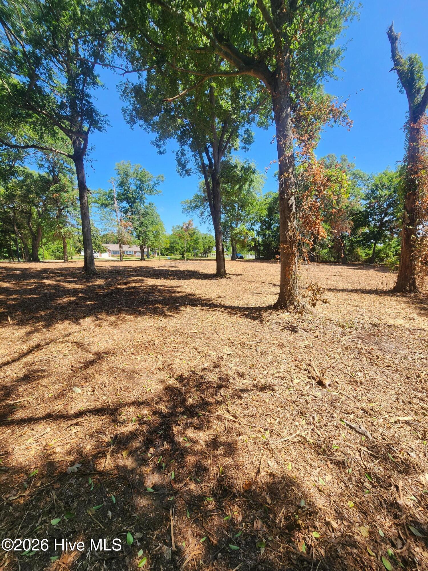 102 Deer Run Hubert, NC 28539 - Photo 1 of 12
