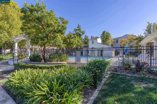 a view of a backyard with plants