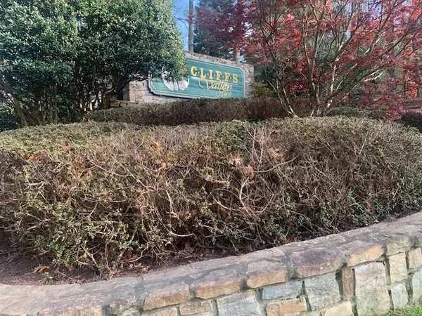 a view of a sign board with large trees