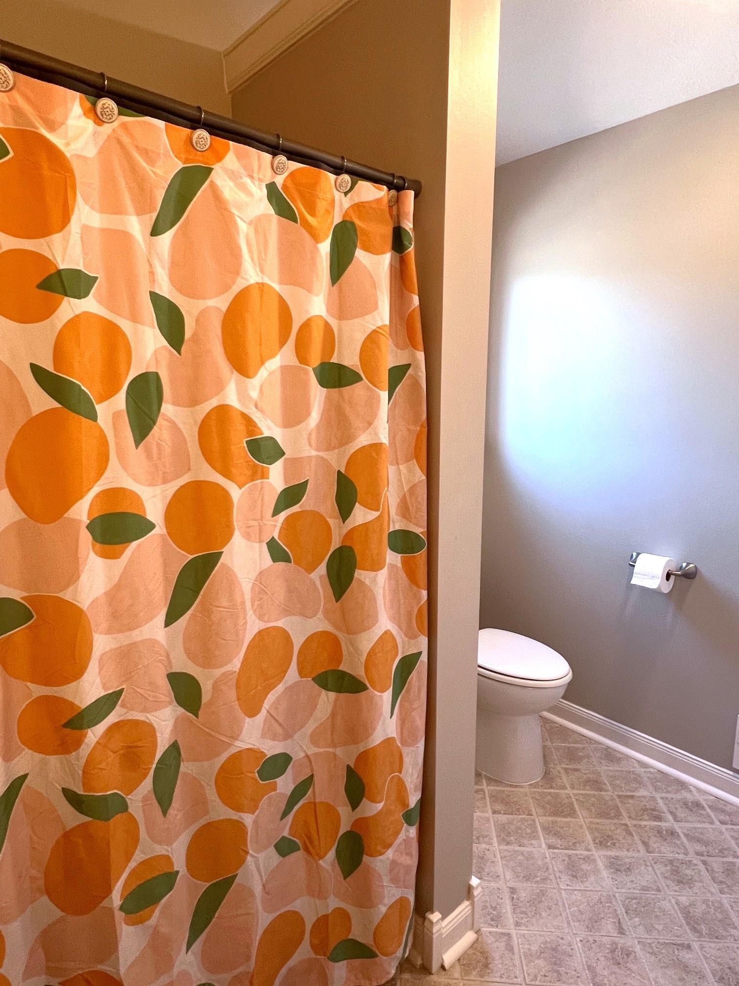 4740 South Francis Road St. Johns, MI 48879 - Photo 16 of 38