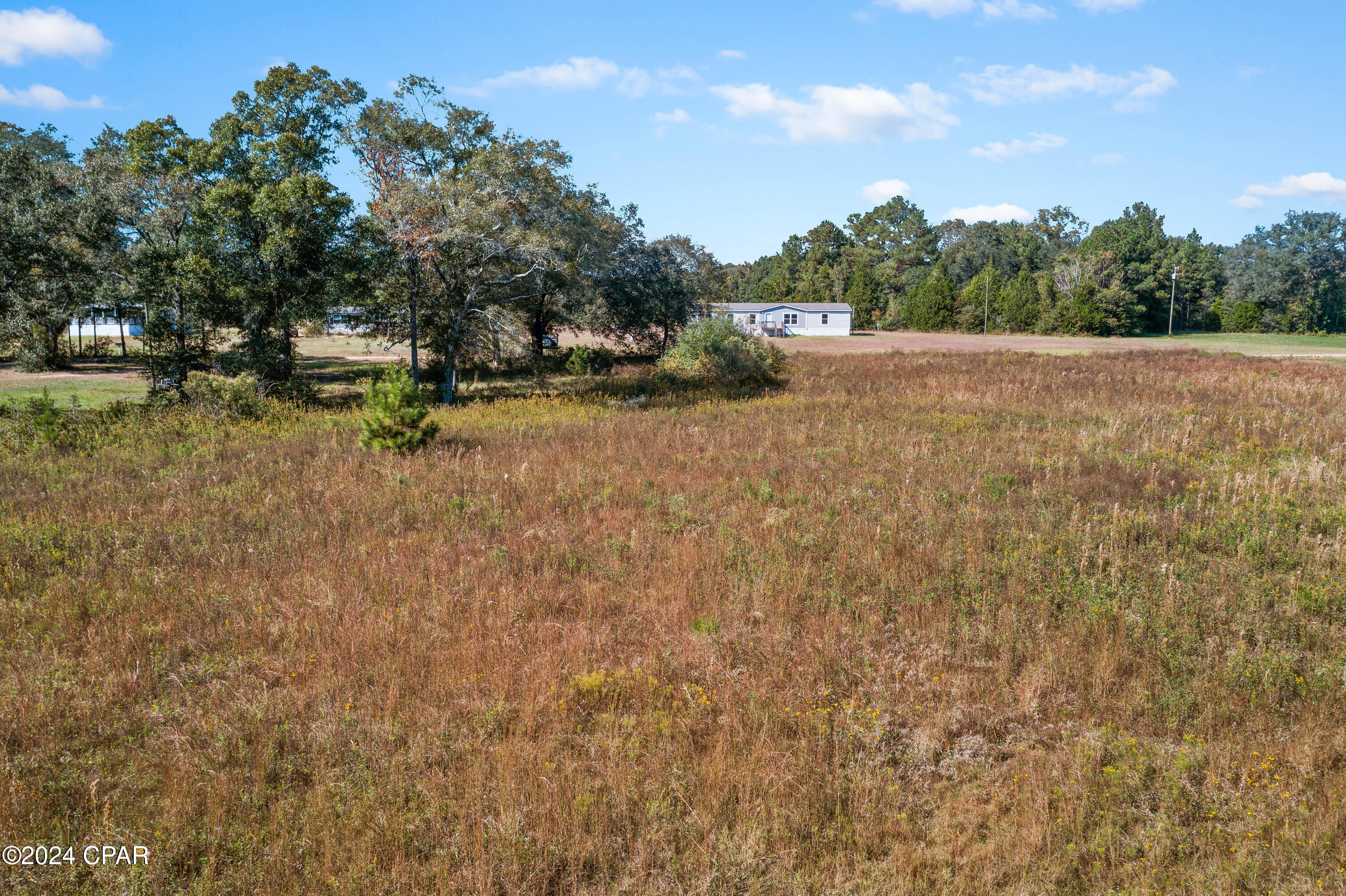 Lot 4 Creek Road Bonifay, FL 32425 - Photo 5 of 11 Gallery Image 5