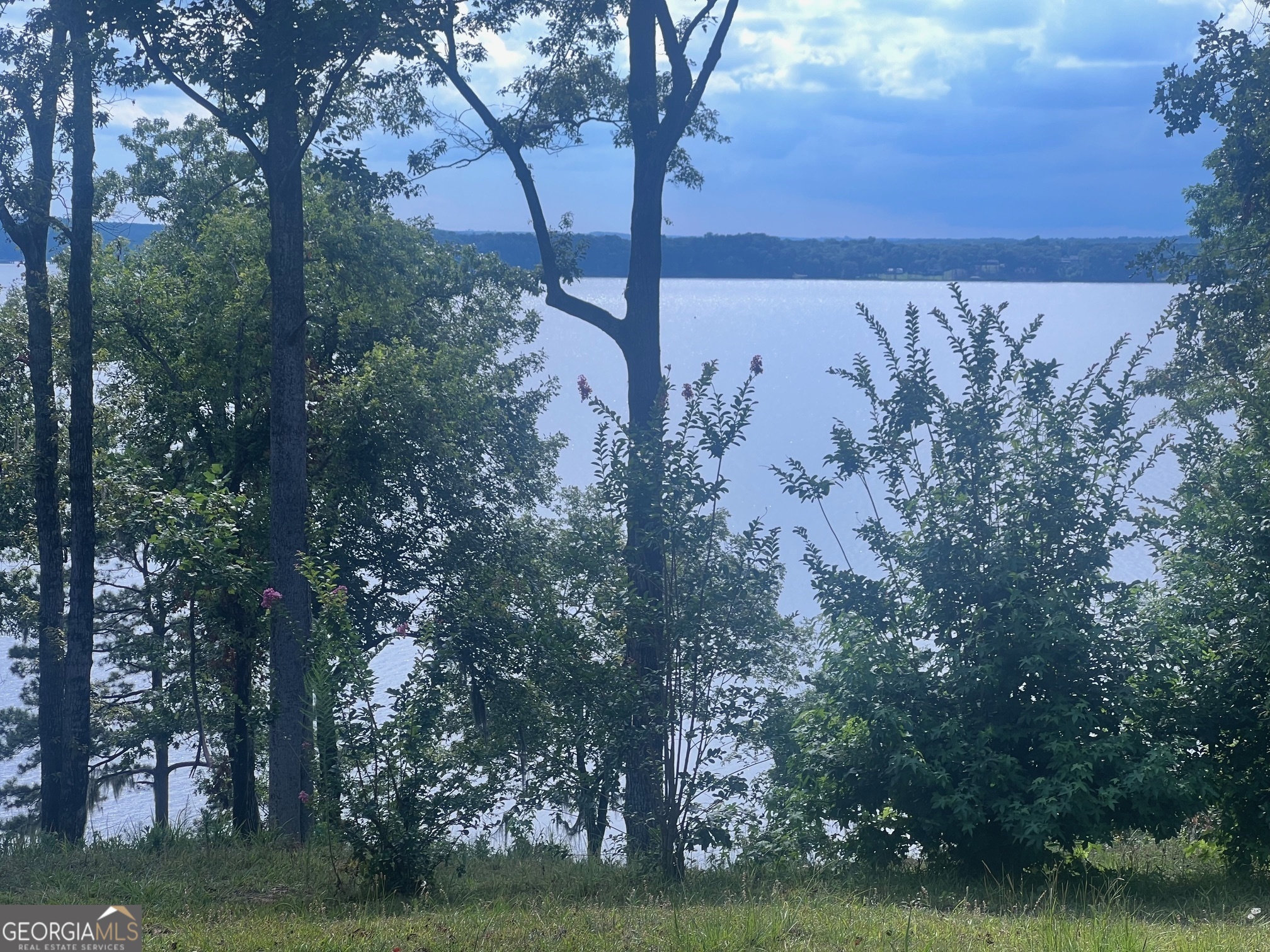 23 Deer Trail Georgetown, GA 39854 - Photo 21 of 31