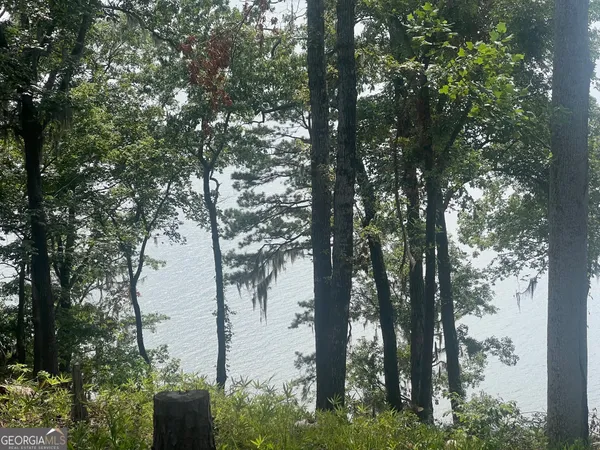 $229,750 | 23 Deer Trail, Georgetown, GA 39854