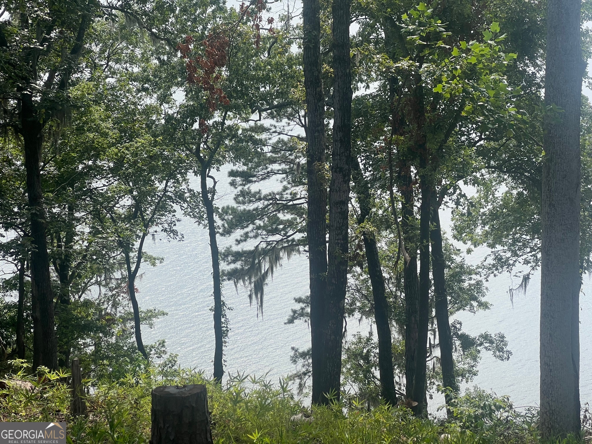 23 Deer Trail Georgetown, GA 39854 - Photo 25 of 31