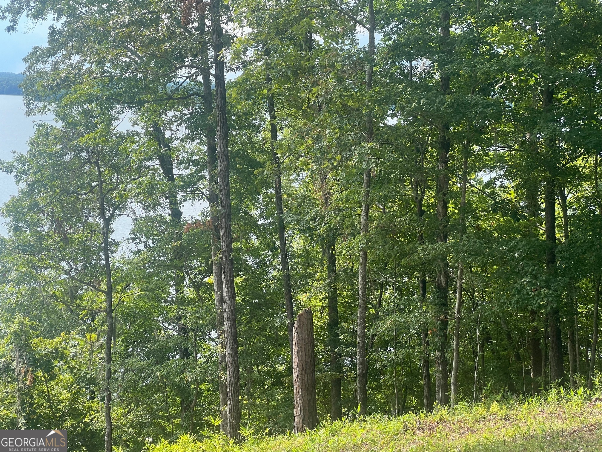 23 Deer Trail Georgetown, GA 39854 - Photo 27 of 31