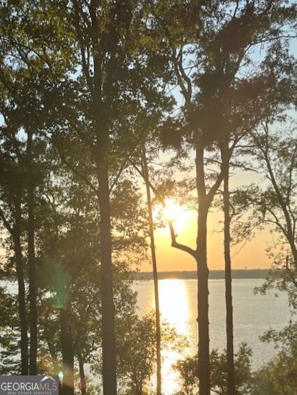 23 Deer Trail Georgetown, GA 39854 - Photo 31 of 31