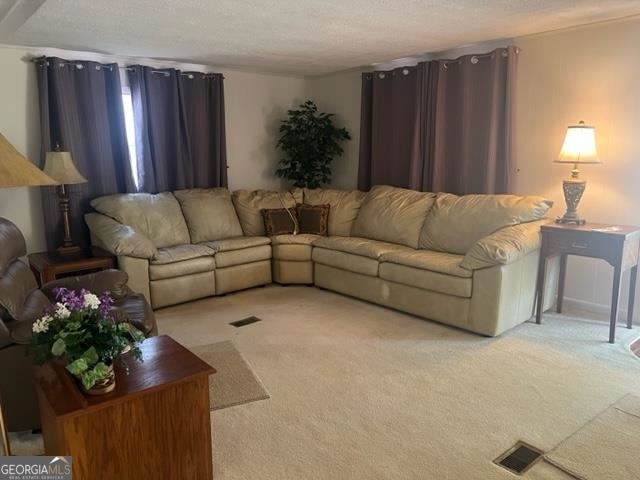 23 Deer Trail Georgetown, GA 39854 - Photo 7 of 31