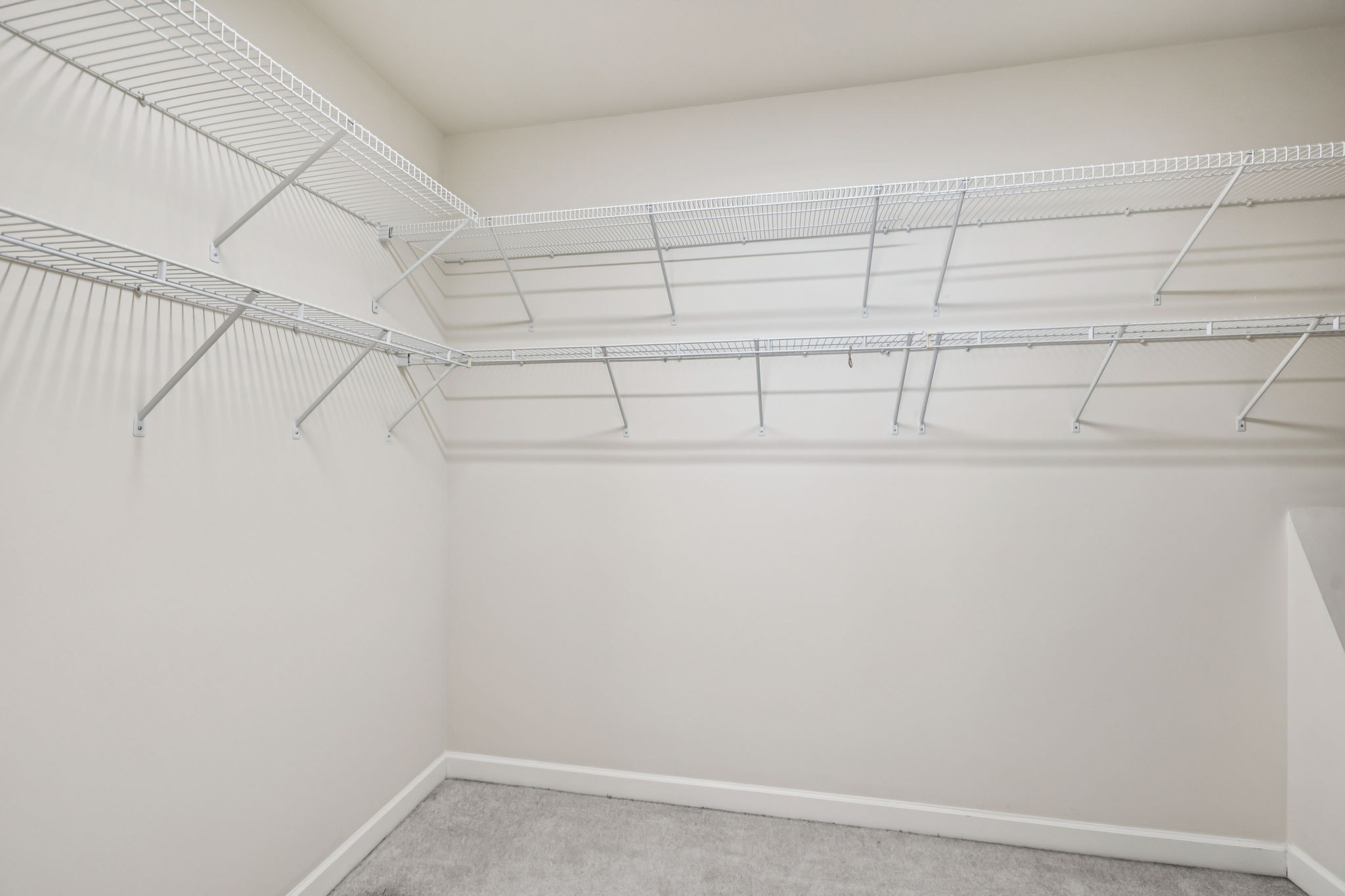 2006 Flocking Drive Spring Hill, TN 37174 - Photo 57 of 86