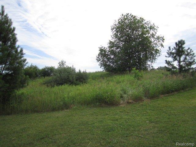 5445 37 Mile Road Romeo, MI 48065 - Photo 20 of 23 5445 37 Mile Road - Vacant Land1