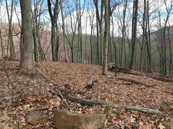 a view of outdoor space with trees