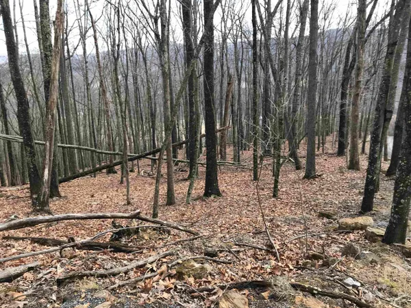a view of outdoor space with chairs