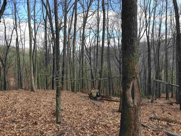 a backyard of a house with large trees