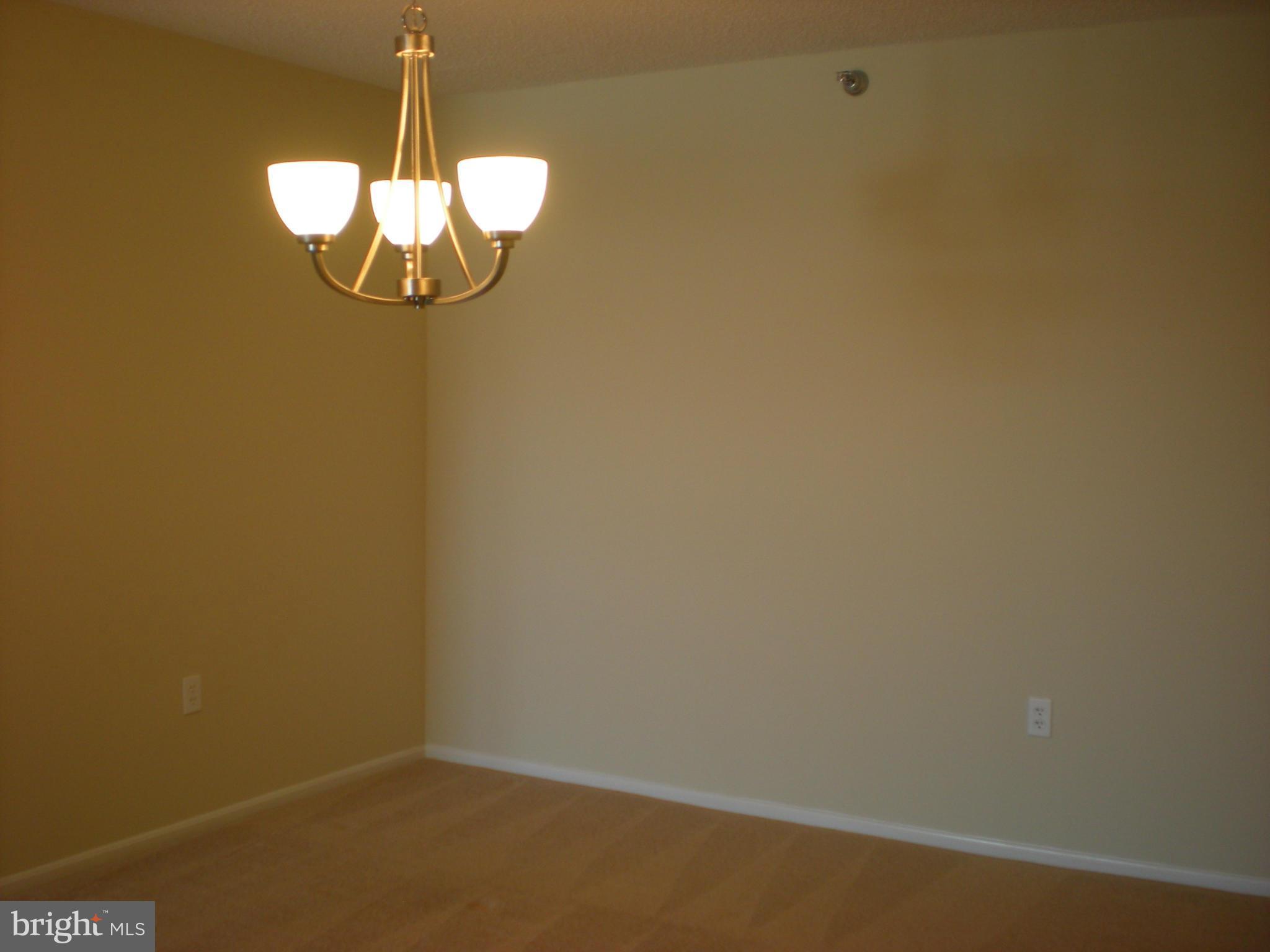 15115 Interlachen Drive, Unit 3601 Silver Spring, MD 20906 - Photo 11 of 21 Dining Room