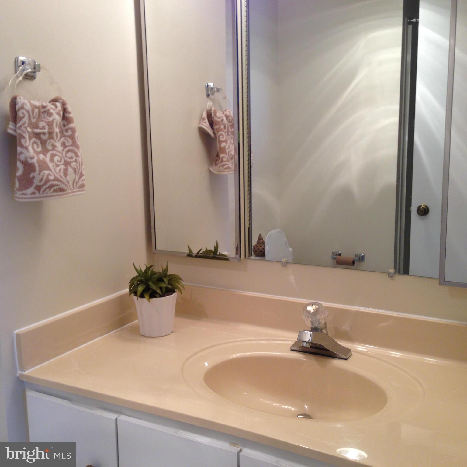 15115 Interlachen Drive, Unit 3601 Silver Spring, MD 20906 - Photo 14 of 21 Bath (Master)