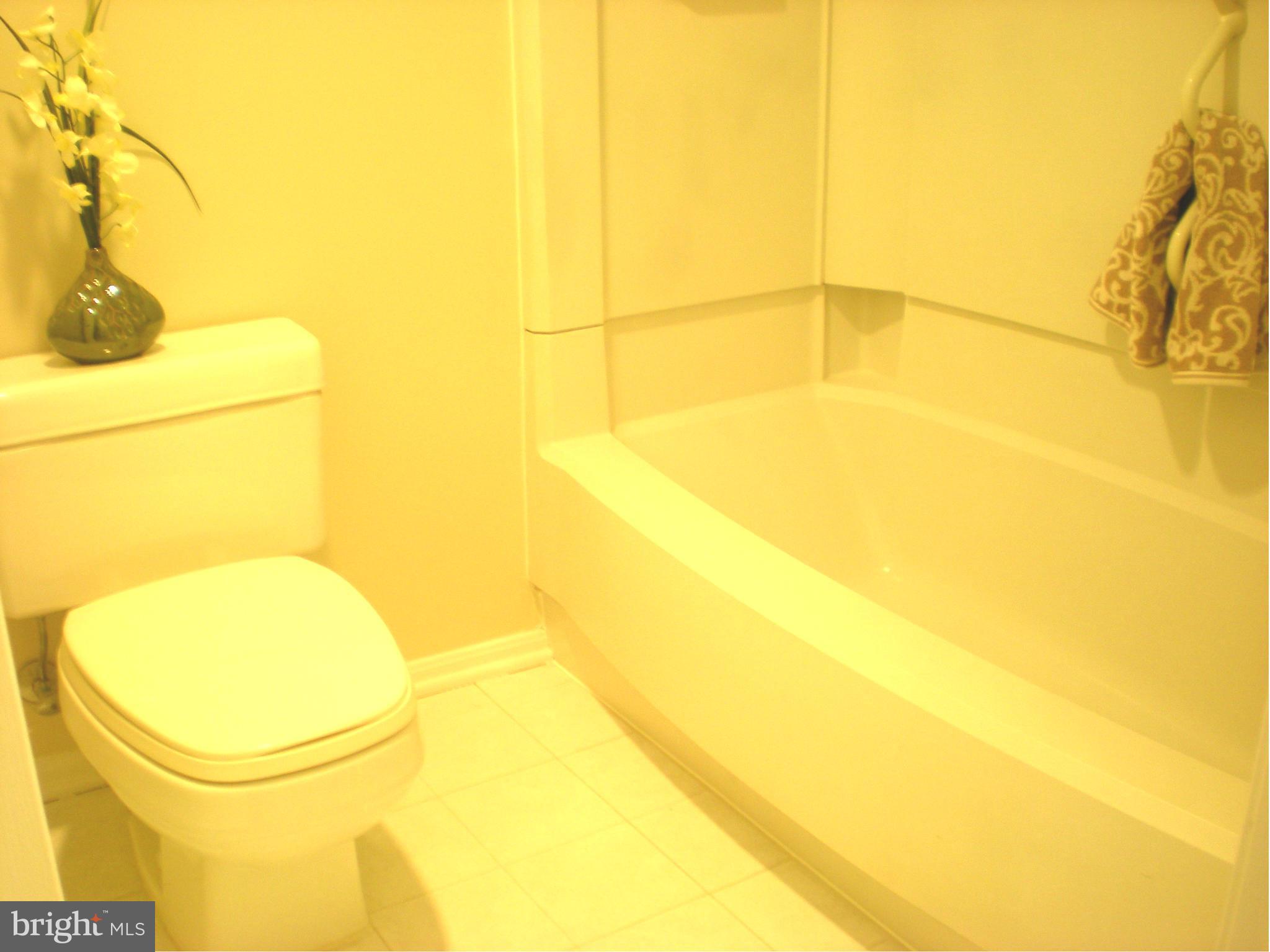 15115 Interlachen Drive, Unit 3601 Silver Spring, MD 20906 - Photo 16 of 21 Bath (Master)
