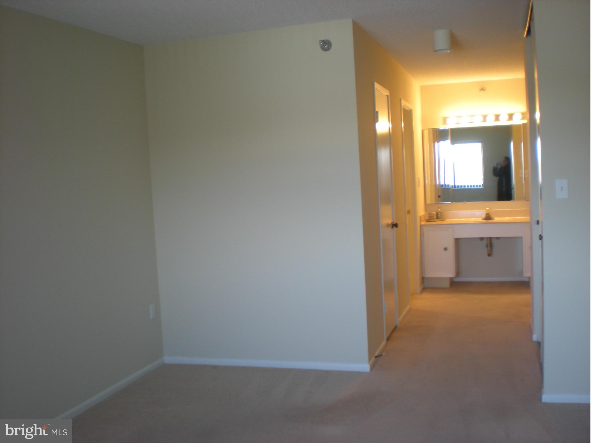 15115 Interlachen Drive, Unit 3601 Silver Spring, MD 20906 - Photo 20 of 21 Bath (Master)