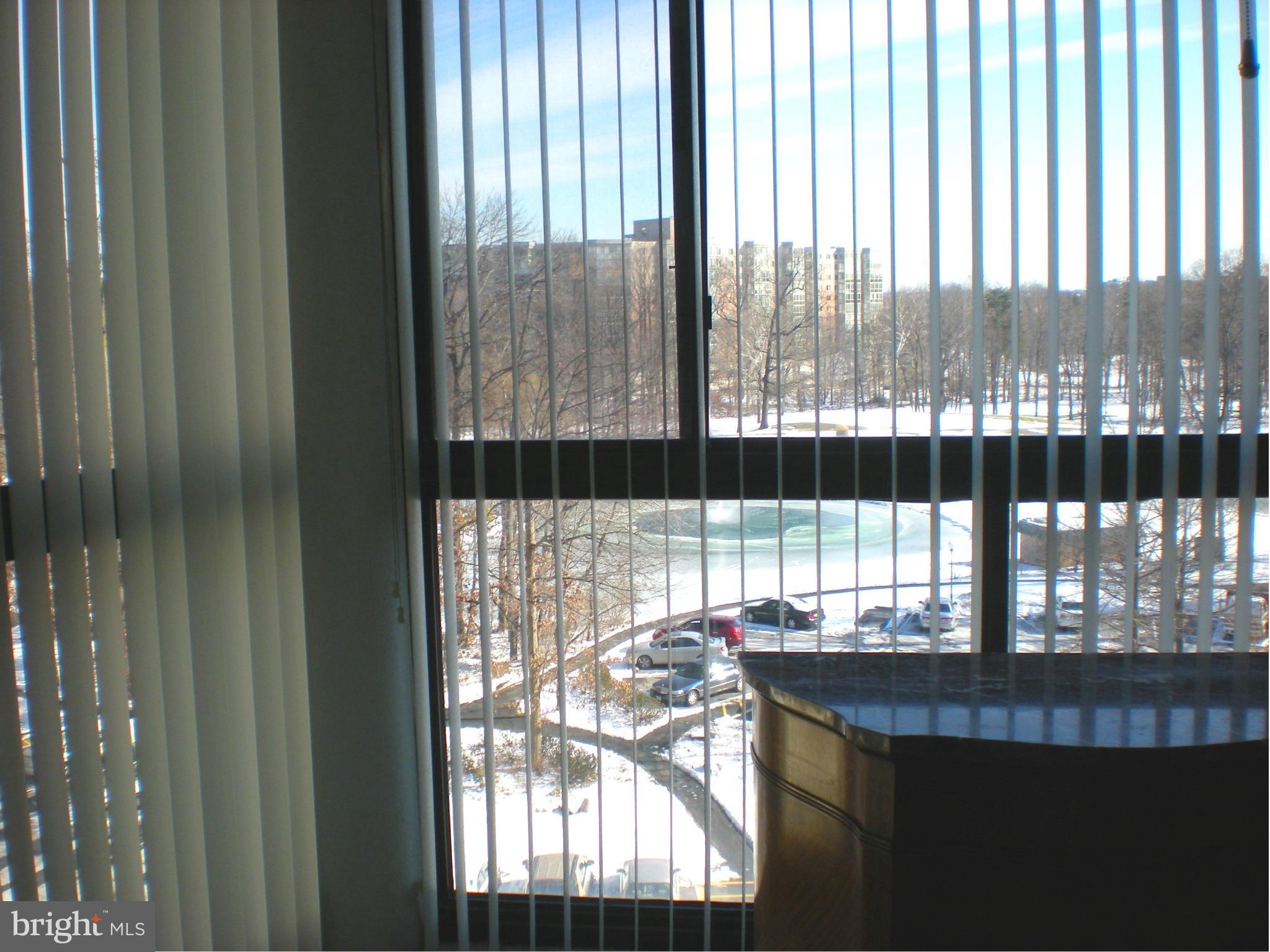 15115 Interlachen Drive, Unit 3601 Silver Spring, MD 20906 - Photo 8 of 21 Interior (General)