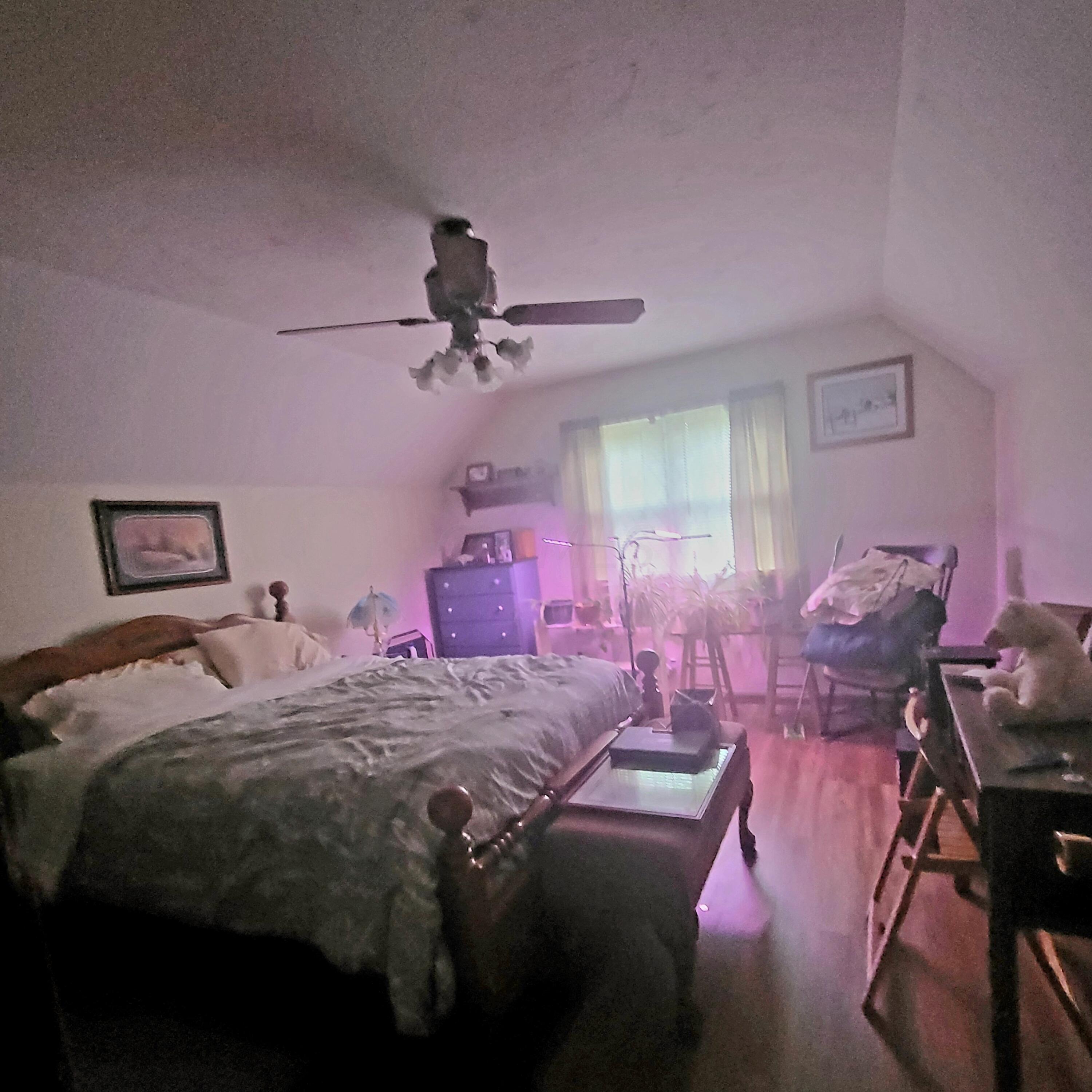 7190 Westfall Road Frankfort, OH 45628 - Photo 24 of 42 20230501_132540